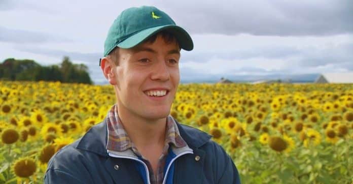 Jovem agricultor cria trilha com 250 mil girassóis que atrai visitantes do mundo todo [VIDEO]
