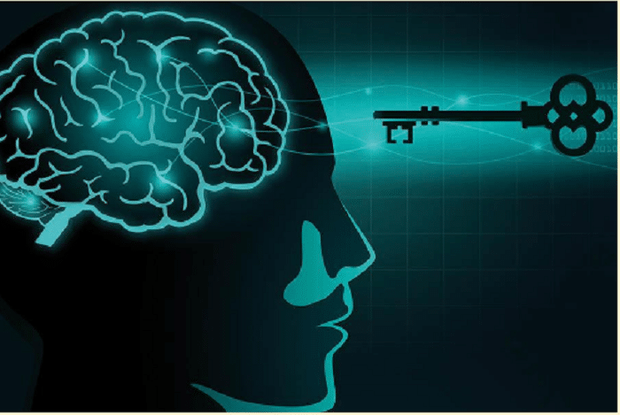 revistapazes.com - A Psicologia do Sucesso no Bingo Online