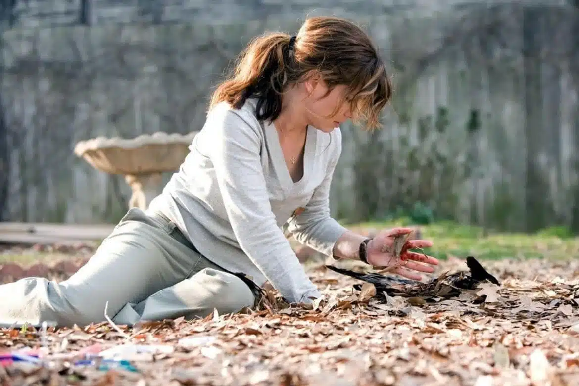 revistapazes.com - Com atuação magnética, Sandra Bullock brilha em thriller na Netflix que você ainda não assistiu