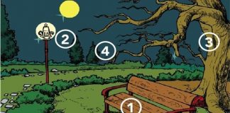 Onde você se sentiria mais seguro neste parque? Sua resposta revela algo MUITO importante sobre você