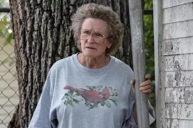 revistapazes.com - Filme baseado em livro best-seller e indicado ao Oscar estreia no top 10 na Netflix