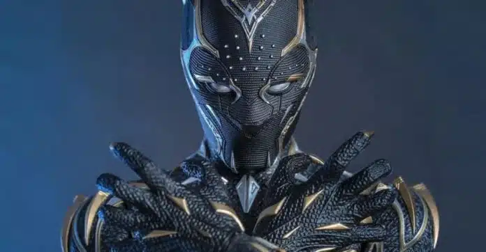 Estrela de ‘Pantera Negra’ é internada em estado gravíssimo após acidente com perseguição policial