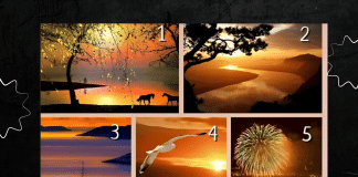 Escolha a imagem e descubra o que a sua alma precisa neste CARNAVAL