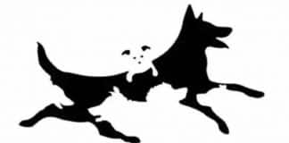 Neste TESTE DE PERSONALIDADE, você descobre qual é a sua IDADE EMOCIONAL – Faça agora!