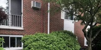 Teste de percepção: Você consegue encontrar o gato escondido na imagem?