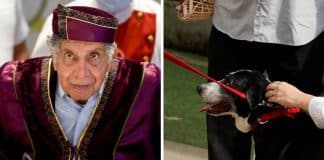 Dono da Jaguar e Land Rover falece e deixa como herança uma fortuna inacreditável para seu cachorro – veja quanto