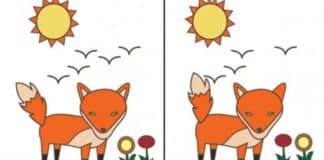 Teste de personalidade: Qual erro você encontra primeiro? Apenas 1 em cada 7 pessoas enxergam um erro bem específico!