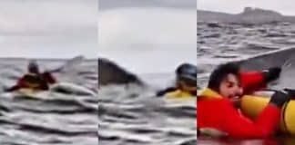 Jovem ‘engolido e cuspido’ por baleia relata os longos segundos de tensão: “Me senti como Pinóquio”