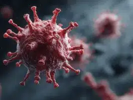 Especialista prevê que a próxima pandemia, “A Grande”, matará mais de sete milhões de pessoas