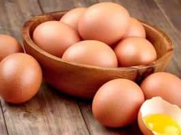 Comer ovos diariamente faz bem ou mal? A resposta da ciência surpreendeu até os nutricionistas