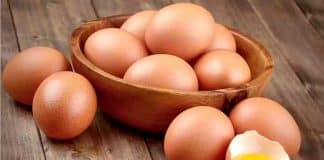 Comer ovos diariamente faz bem ou mal? A resposta da ciência surpreendeu até os nutricionistas