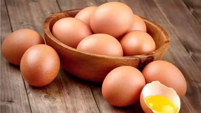 Comer ovos diariamente faz bem ou mal? A resposta da ciência surpreendeu até os nutricionistas