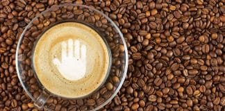 Após escândalo sanitário, Anvisa decide proibir 3 marcas de café de uma só vez - veja as marcas afetadas