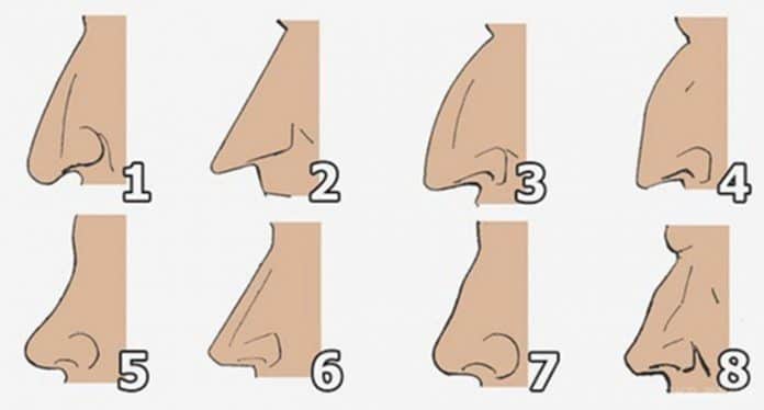 O que o formato do seu nariz diz sobre a sua personalidade O que seu nariz diz sobre você? Descubra interpretações que estão chocando muita gente