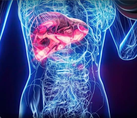 Seu fígado muda em apenas 24h sem álcool — e o que acontece depois de 7 e 30 dias vai te surpreender