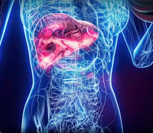 Seu fígado muda em apenas 24h sem álcool — e o que acontece depois de 7 e 30 dias vai te surpreender