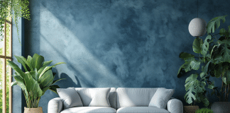 Adubo e plantas de interior: o que muda no manejo dentro de casa?