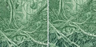 O número de animais que você vê determina se você é uma pessoa narcisista