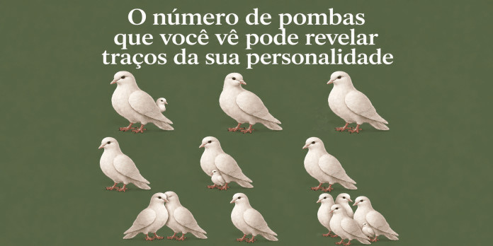 O número de pombas que chama sua atenção pode revelar algo sobre seu momento emocional