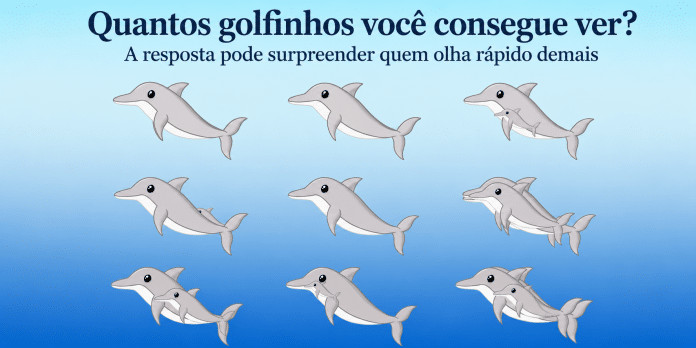 Quantos golfinhos você consegue ver? A resposta pode surpreender quem olha rápido demais