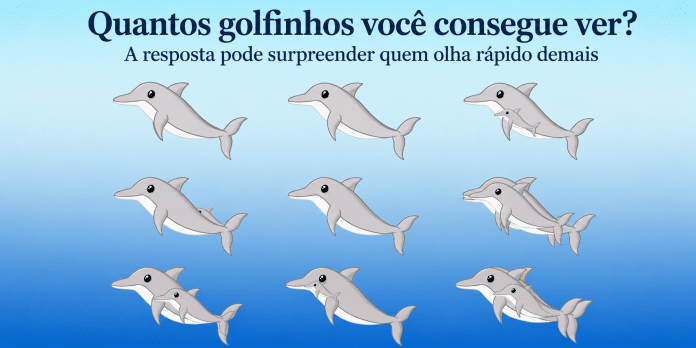 Quantos golfinhos você consegue ver? A resposta pode surpreender quem olha rápido demais