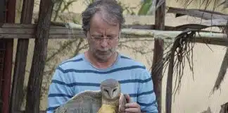 mia couto documentário
