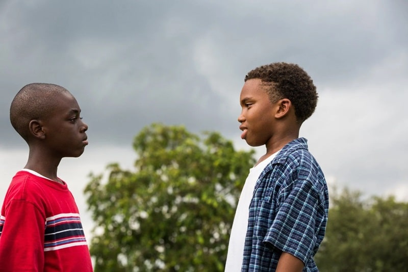 Estreia no streaming: O filme que ganhou 3 Oscars provando que o cinema real não precisa de drama falso, nem lágrimas fáceis revistapazes.com - Estreia no streaming: O filme que ganhou 3 Oscars provando que o cinema real não precisa de drama falso, nem lágrimas fáceis