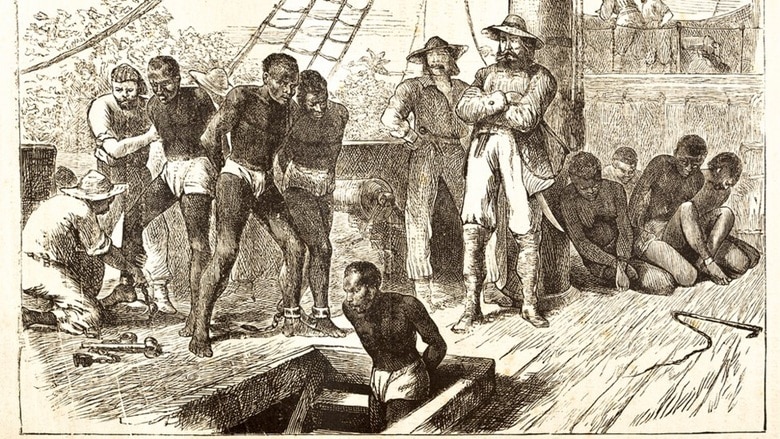 revistapazes.com - Eles foram jogados vivos ao mar para que seus donos recebessem o dinheiro do seguro. A hist&oacute;ria que quase apagaram: