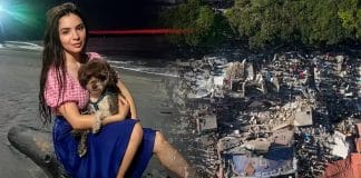 revistapazes.com -