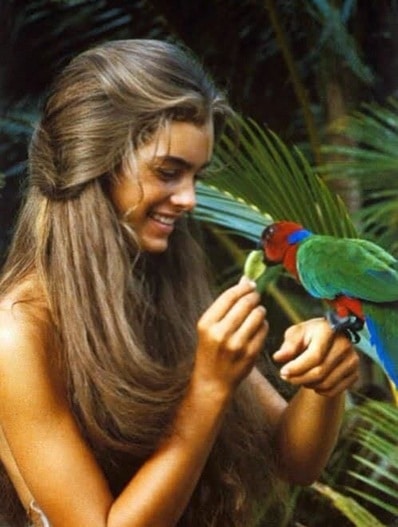 revistapazes.com - Astro de &ldquo;A Lagoa Azul&rdquo; diz que a fama o fez perder um dos maiores pap&eacute;is dos anos 80