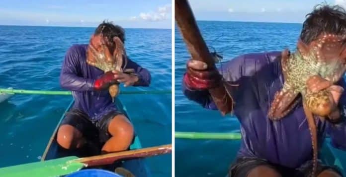 Ele só queria pescar, mas acabou com um polvo agarrado ao rosto e teve dificuldade para removê-lo