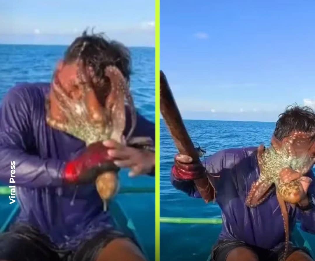 revistapazes.com - Ele s&oacute; queria pescar, mas acabou com um polvo agarrado ao rosto e teve dificuldade para remov&ecirc;-lo