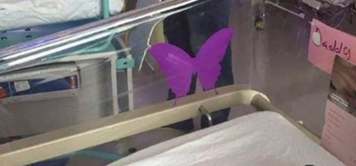 Se você vir um adesivo de uma borboleta roxa perto de um recém-nascido, precisa saber o que isso significa