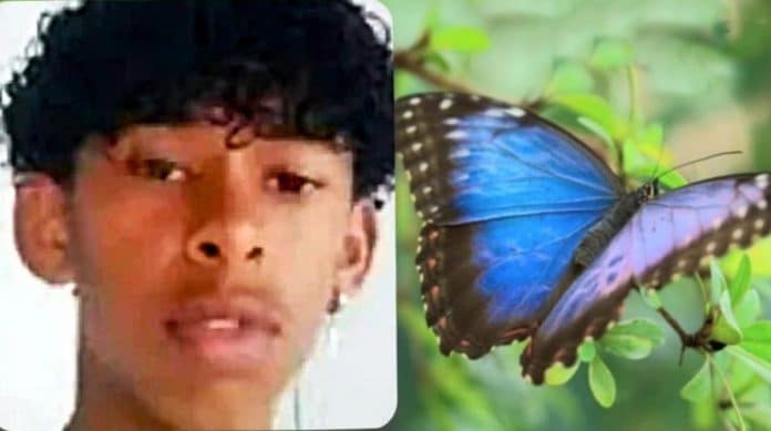 Menino de 14 anos injetou uma mistura feita com borboleta e o caso terminou de forma trágica