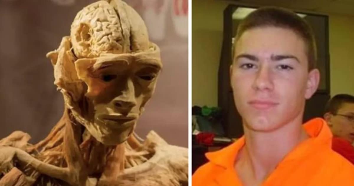 revistapazes.com - Museu se pronuncia ap&oacute;s den&uacute;ncia de m&atilde;e que afirma ter visto o corpo do filho exposto ao p&uacute;blico