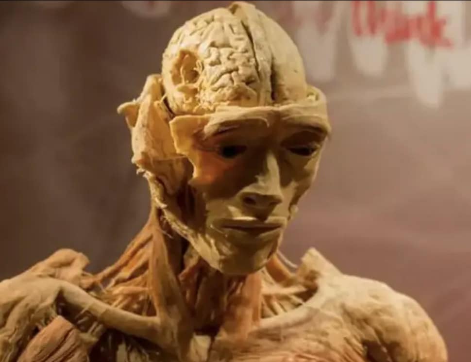 revistapazes.com - Museu se pronuncia ap&oacute;s den&uacute;ncia de m&atilde;e que afirma ter visto o corpo do filho exposto ao p&uacute;blico