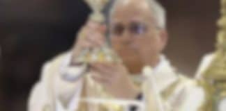 papa