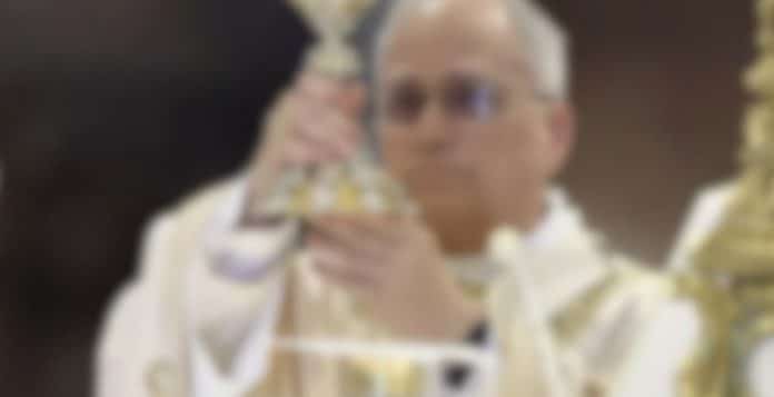 Muita gente está perplexa ao ver o detalhe ‘surrealista’ na vestimenta do papa Leão durante uma missa
