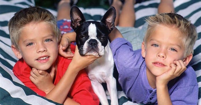 Os gêmeos Sprouse hoje: por dentro da vida deles aos 34 anos